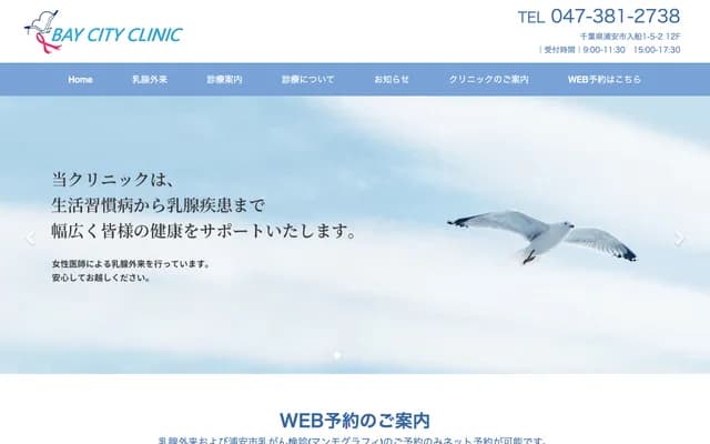 Bay City Clinic - 1-5-2-12F Irifune, Urayasu, Chiba