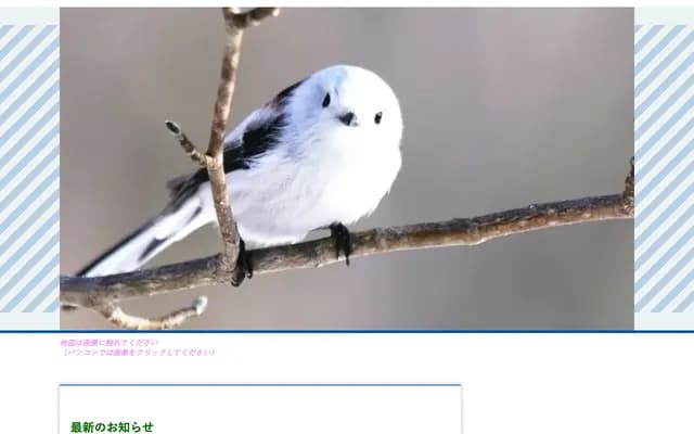 Morita Dermatology - 203 Goko Plarail Bldg, 5-20-7 Tokiwadaira, Matsudo, Chiba