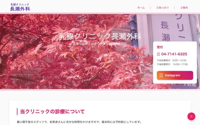 Nagase Surgery Breast Clinic - 10-15 Suehirocho, Kashiwa, Chiba