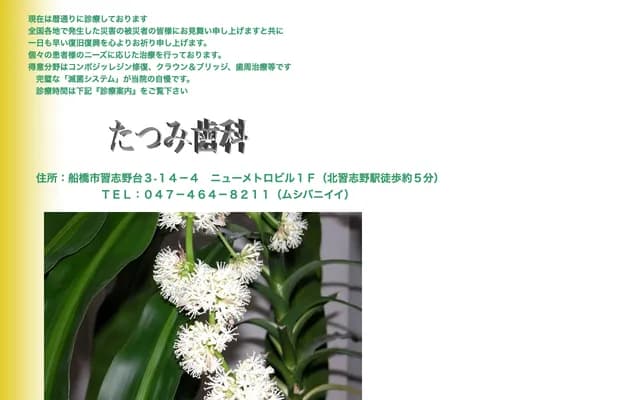 Tatsumi Dental - 3-14-4 Narashino-dai, Funabashi, Chiba, New Metro Building 1F