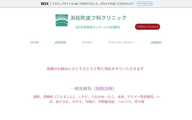 Hamamatsucho Dermatology Clinic - 2-3-1 Hamamatsucho, Minato-ku, Tokyo