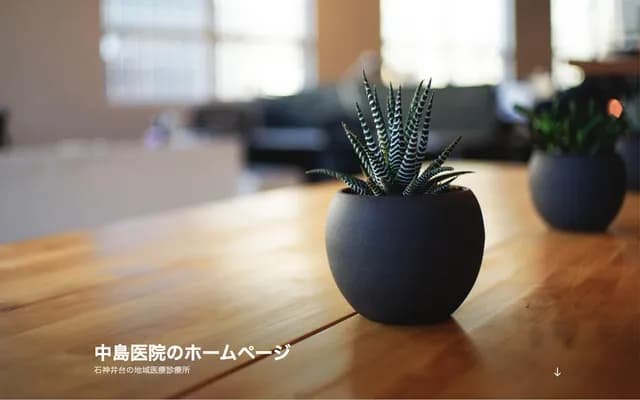 Nakajima Clinic - 3-10-30 Shakujiidai, Nerima-ku, Tokyo