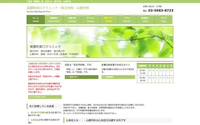 Toyocho Higashiguchi Clinic