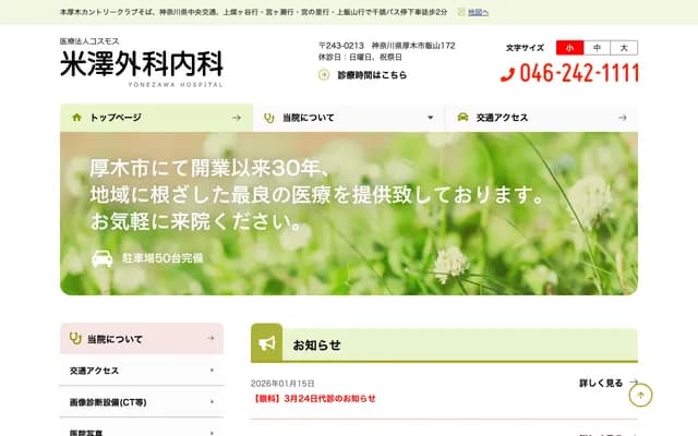 Yonezawa Surgery & Internal Medicine Clinic - Iiyama, Atsugi, Kanagawa