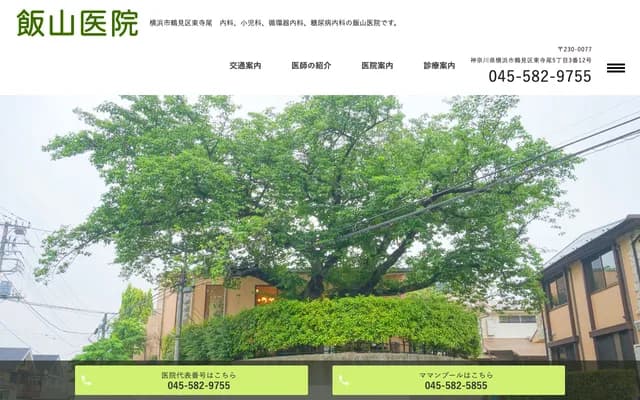 Iiyama Clinic - Higashiterao, Tsurumi-ku, Yokohama, Kanagawa