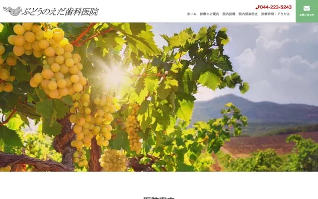 Budonoeda Dental Clinic - 1-6-15-101 Fujimi, Kawasaki-ku, Kawasaki, Kanagawa