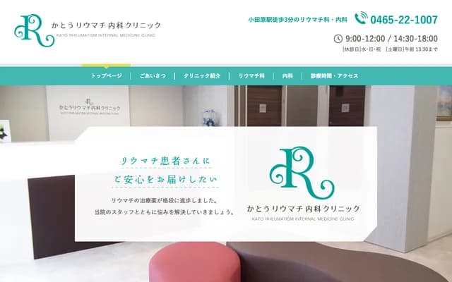 Kato Rheumatology & Internal Medicine Clinic - 1-5-17 Sakaecho, Odawara, Kanagawa