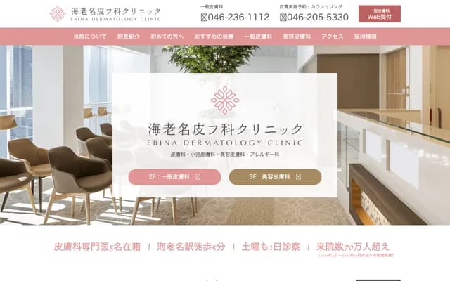 Ebina Dermatology Clinic - 12-28 Ogimachi, Ebina, Kanagawa