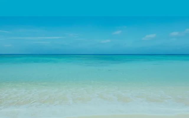 Takeuchi Internal Medicine Clinic