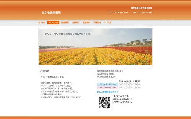 Hikaru Dental Clinic - 2-21-2-1 Toba 2, Sabae, Fukui