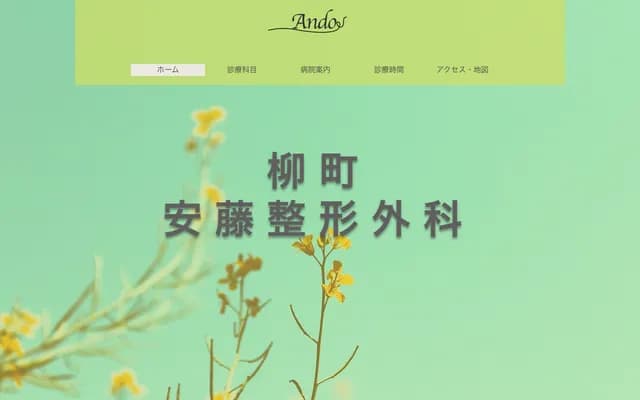Yanagimachi Ando Orthopedics - 1234-2 Miwa, Nagano, Nagano