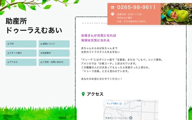 Midwifery Clinic Doula MI