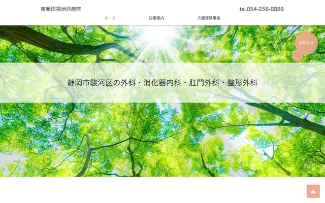 Higashishinda Fukuchi Clinic - 5-16-10 Higashishinden, Suruga-ku, Shizuoka, Shizuoka