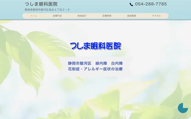 Tsushima Ophthalmology Clinic - 4-2-5 Toro, Suruga-ku, Shizuoka, Shizuoka