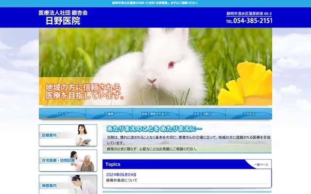 Hino Clinic - 66-2 Kambara Shinei, Shimizu-ku, Shizuoka, Shizuoka