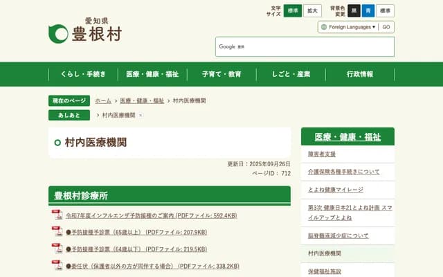 Toyone Village Clinic