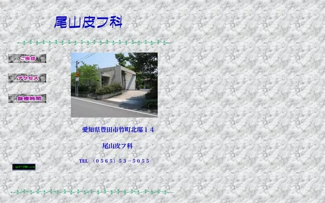 Oyama Dermatology - 14 Take-cho Kitatei, Toyota, Aichi