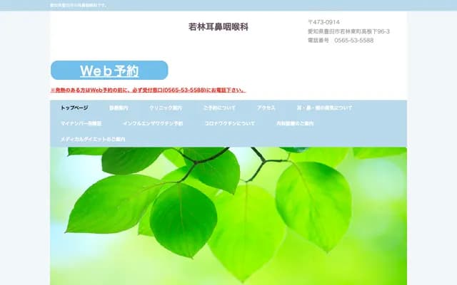 Wakabayashi ENT Clinic