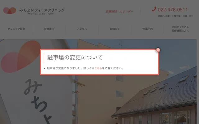 Michiyo Ladies Clinic