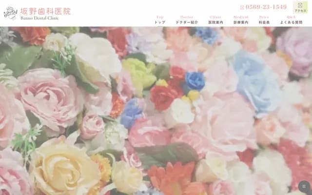 Sakano Dental Clinic - 50-5 Tenjin-cho, Handa, Aichi