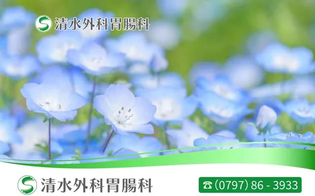 Shimizu Surgery & Gastroenterology