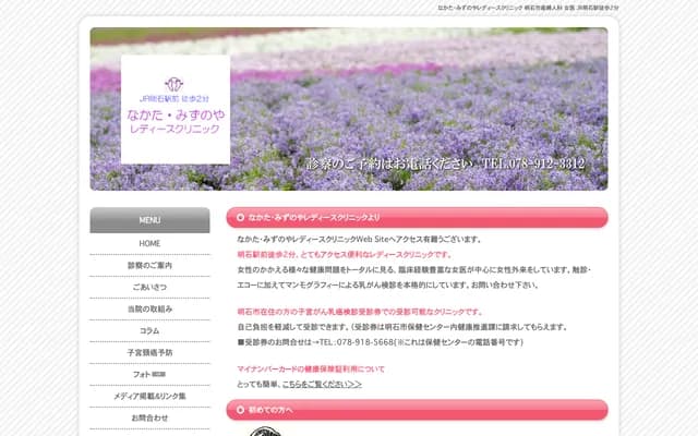 Nakata Mizunoya Ladies Clinic