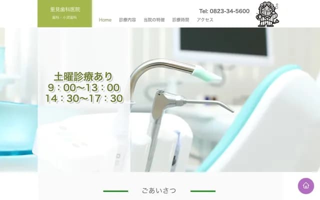 Satomi Dental