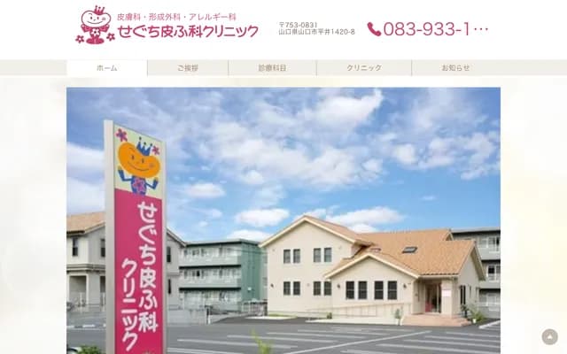 Seguchi Dermatology Clinic - 1420-8 Hirai, Yamaguchi, Yamaguchi
