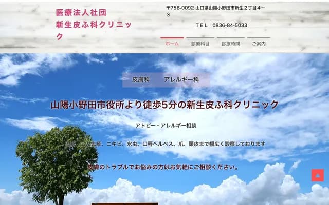 Shinsei Dermatology Clinic - 2-4-3 Shinsei, Sanyo-Onoda, Yamaguchi