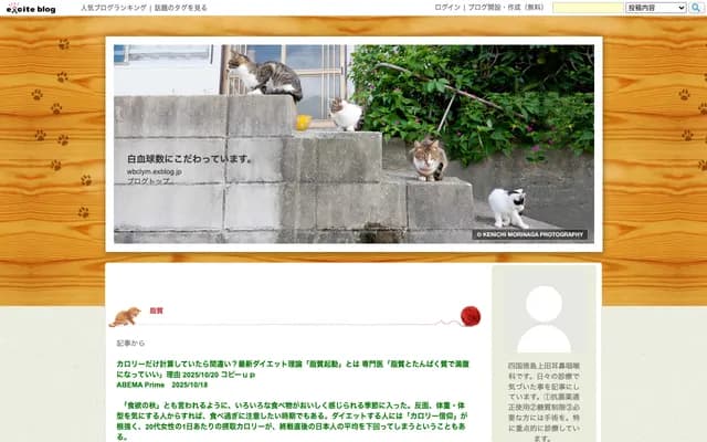 Ueda ENT - 5-52-6 Minami-Showa-cho, Tokushima, Tokushima