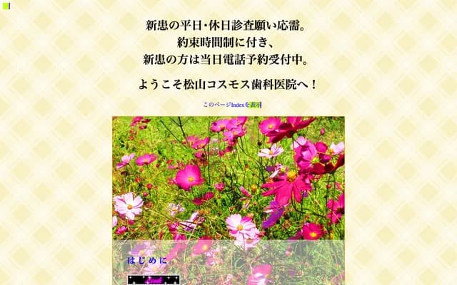 Cosmos Dental Clinic - 1800-10 Ko, Horie-cho, Matsuyama, Ehime