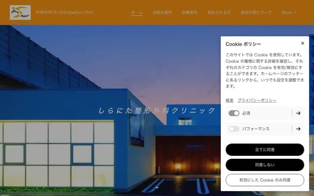 Shiranita Orthopedics Clinic - Shirogane, Kokura Kita-ku, Kitakyushu, Fukuoka