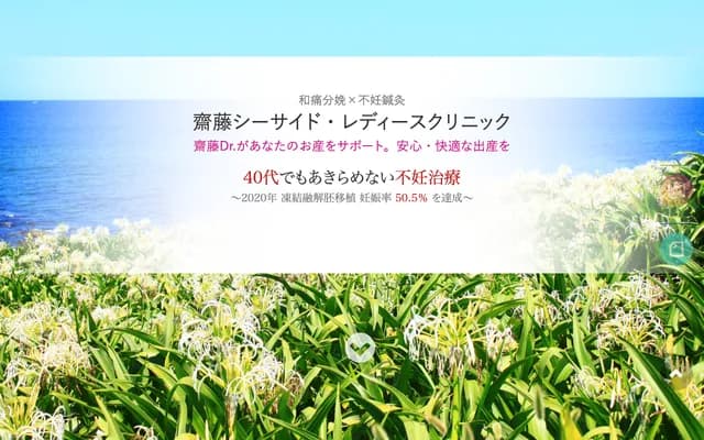 Saito Seaside Ladies Clinic