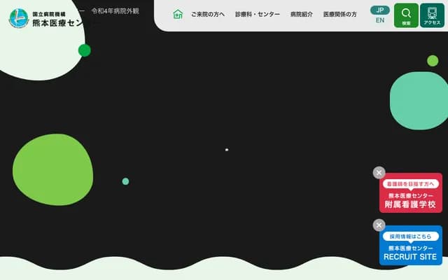 National Hospital Organization Kumamoto Medical Center - 1-5 Ninomaru, Chuo-ku, Kumamoto, Kumamoto