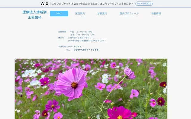 Tamari Dental - 1-30-11 Take, Kagoshima, Kagoshima