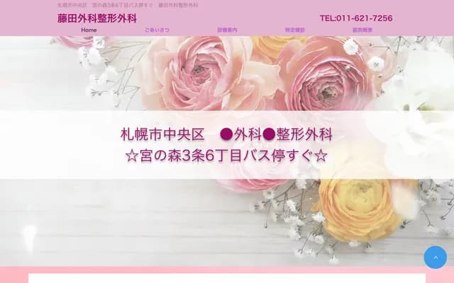 Fujita Surgery & Orthopedics - 1-68 Miyanomori 3-jo 7-chome, Chuo-ku, Sapporo, Hokkaido