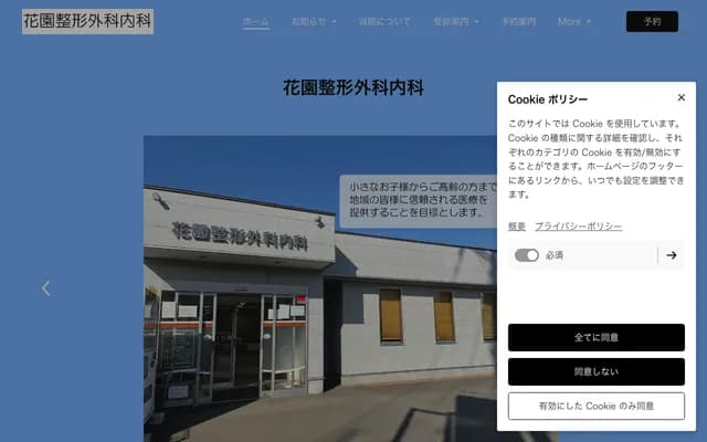 Hanazono Orthopedics Internal Medicine - 3-2374-7 Hanazono, Tokorozawa, Saitama